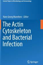 Actin Cytoskeleton and Bacterial Infection