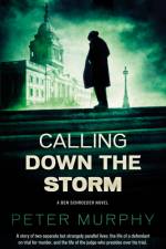 Calling Down the Storm af Peter Murphy
