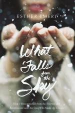 What Falls from the Sky af Esther Emery