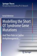 Modelling the Short QT Syndrome Gene Mutations af Ismail Adeniran