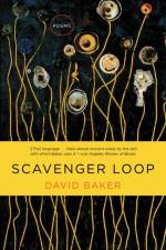 Scavenger Loop af David (Denison University) Baker