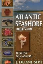 Atlantic Seashore Field Guide af J. Duane Sept