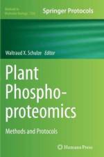 Plant Phosphoproteomics