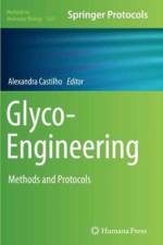 Glyco-Engineering