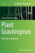 Plant Gravitropism