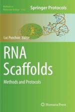 RNA Scaffolds