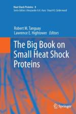 Big Book on Small Heat Shock Proteins