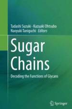 Sugar Chains
