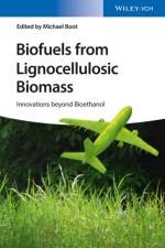 Biofuels from Lignocellulosic Biomass af Michael Boot