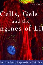 Cells, Gels and the Engines of Life af Gerald Pollack