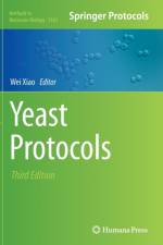 Yeast Protocols
