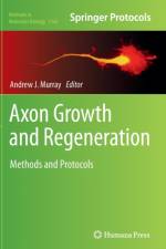 Axon Growth and Regeneration