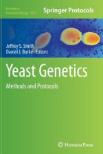 Yeast Genetics