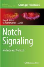 Notch Signaling