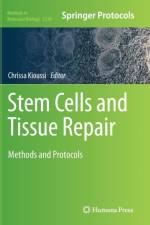 Stem Cells and Tissue Repair