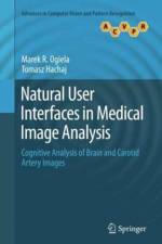 Natural User Interfaces in Medical Image Analysis
