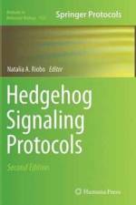 Hedgehog Signaling Protocols