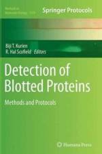 Detection of Blotted Proteins