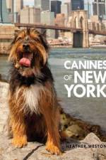 Canines of New York af Heather Weston