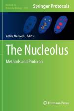Nucleolus