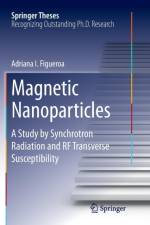 Magnetic Nanoparticles af Adriana I. Figueroa