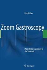 Zoom Gastroscopy