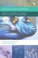 Sea Bass and Sea Bream af Pierpaolo (Lecce Veterinary Office Patarnello