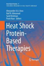 Heat Shock Protein-Based Therapies