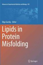 Lipids in Protein Misfolding