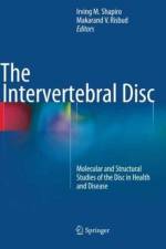 Intervertebral Disc