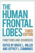 The Human Frontal Lobes