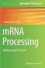 mRNA Processing