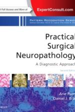 Practical Surgical Neuropathology: A Diagnostic Approach af Arie (Professor of Pathology and Neurological Surgery Perry