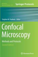 Confocal Microscopy