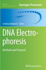 DNA Electrophoresis