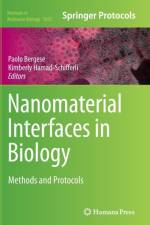 Nanomaterial Interfaces in Biology
