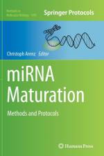 miRNA Maturation