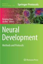Neural Development
