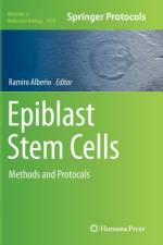 Epiblast Stem Cells