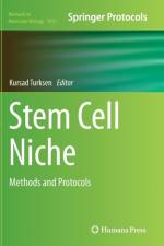 Stem Cell Niche