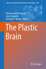Plastic Brain
