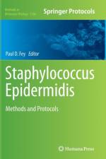 Staphylococcus Epidermidis