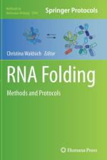 RNA Folding