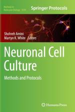 Neuronal Cell Culture