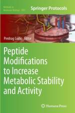 Peptide Modifications to Increase Metabolic Stability and Activity
