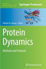 Protein Dynamics
