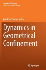 Dynamics in Geometrical Confinement