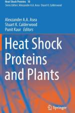 Heat Shock Proteins and Plants