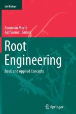 Root Engineering