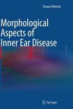 Morphological Aspects of Inner Ear Disease